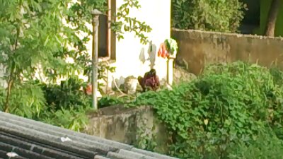 Homegrown partner jinis swapping klompok jancok krasan saru amatir