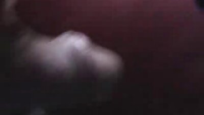 nglangi karo dolphin frisky